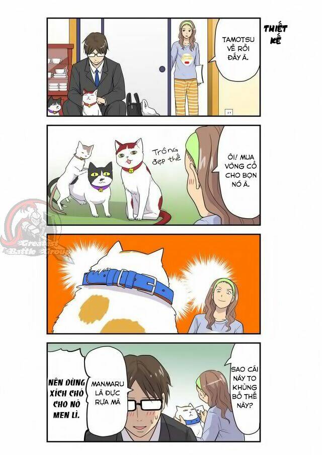 cat is silver vine chapter 6 4