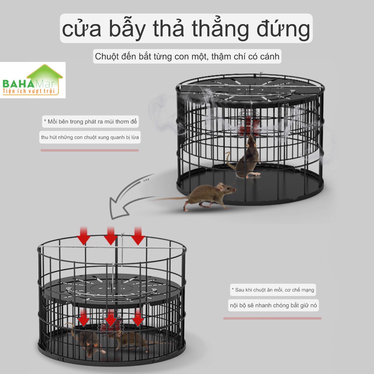 BẪY CHUỘT TỰ ĐỘNG KIỂU LỒNG CHIM, BẮT CHUỘT TOÀN DIỆN KHÔNG GÓC CHẾT "BAHAMAR" được cải thiện rất nhiều để loại bỏ sự rắc rối của những con chuột quá nhỏ trong lồng