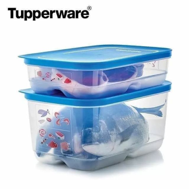 Bộ Trữ Đông Mát Dẻo Tupperware Cool Mate Set 2