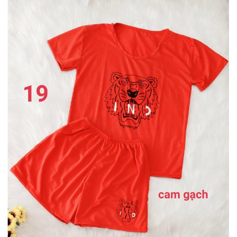 Xả rẻ bộ thun cotton nữ - 35 đến 55kg - ẢNH THẬT