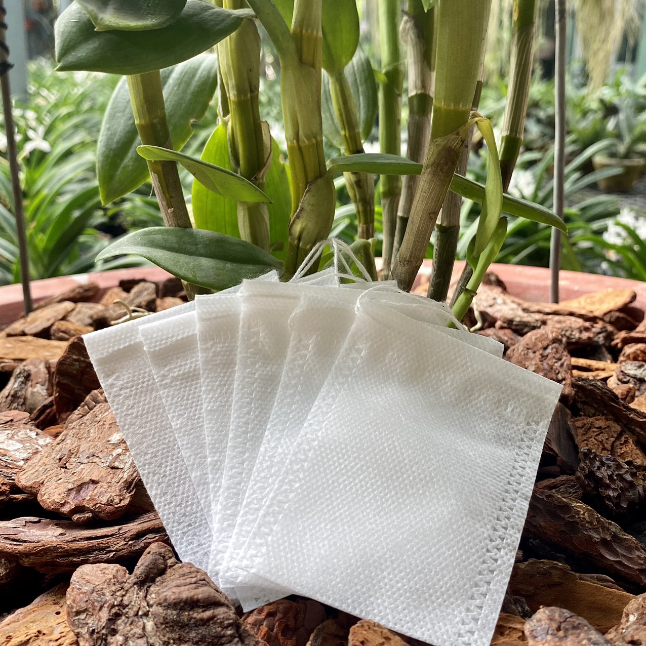 Set 100 Túi Lọc Đựng Phân Tan Chậm Size 6x8 Cho Hoa Lan, Cây Cảnh