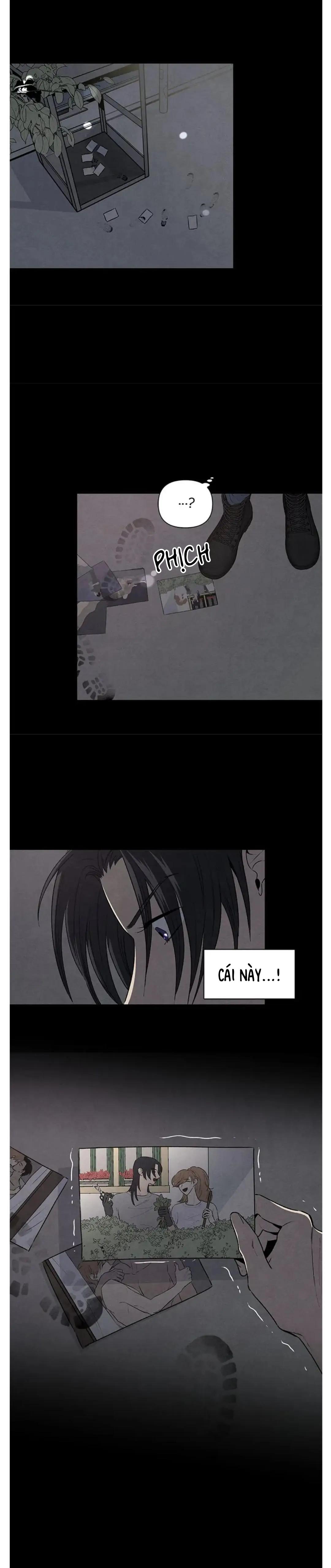 bona sort chapter 44 3