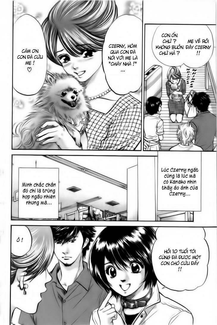 cô nàng yêu chó chapter 23 11