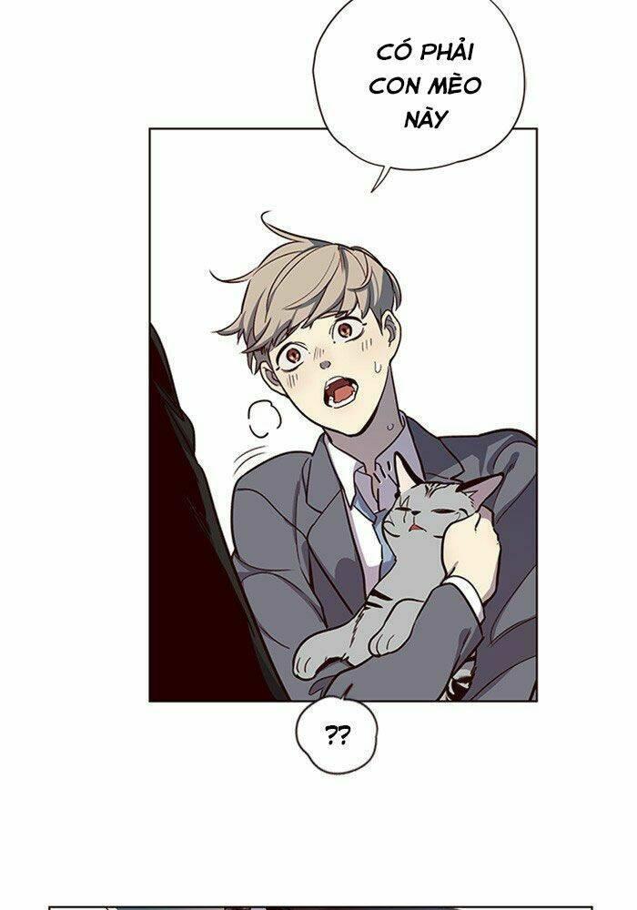 biến thân thành mèo chapter 11 86