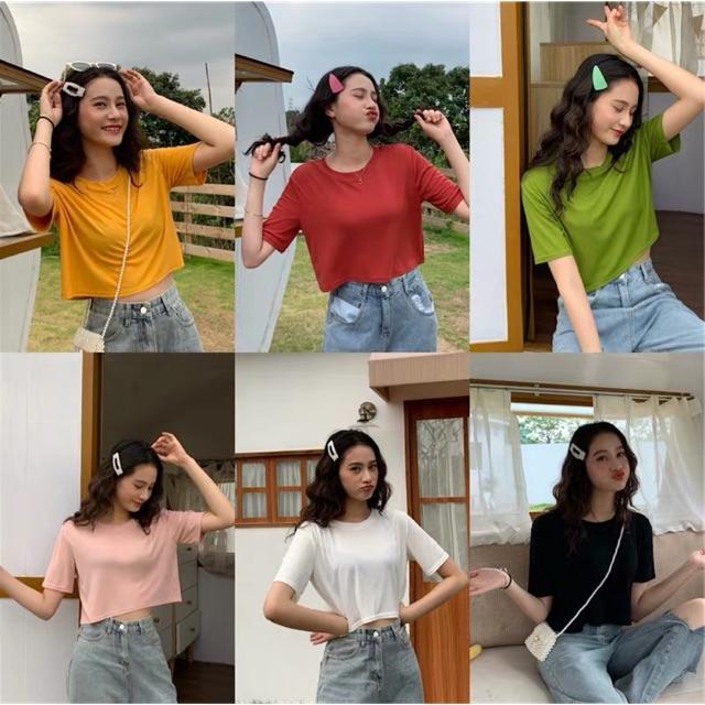 Áo croptop trơn nhiều màu