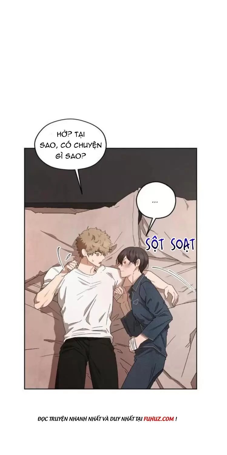 liveta chapter 38 43