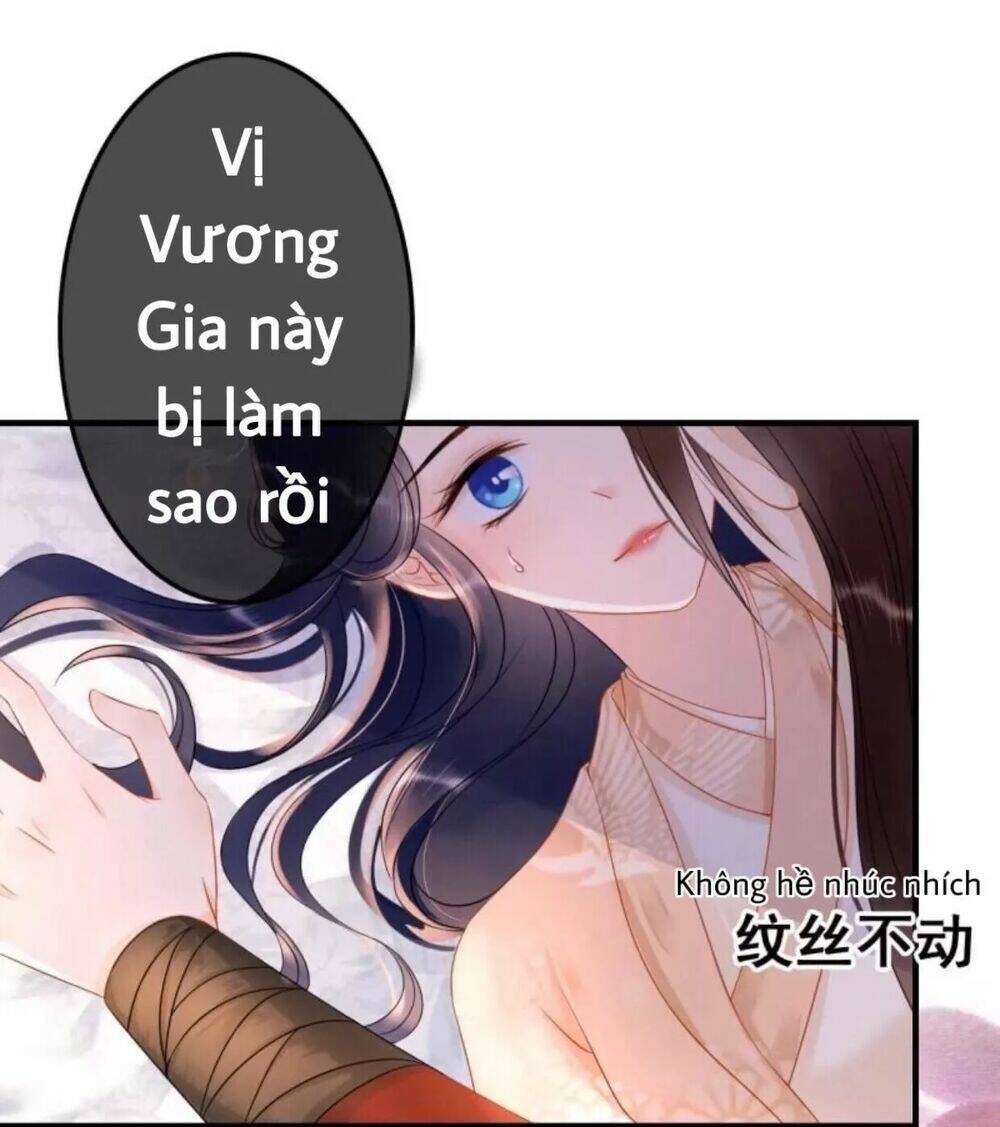 sủng phi của vương chapter 56 31