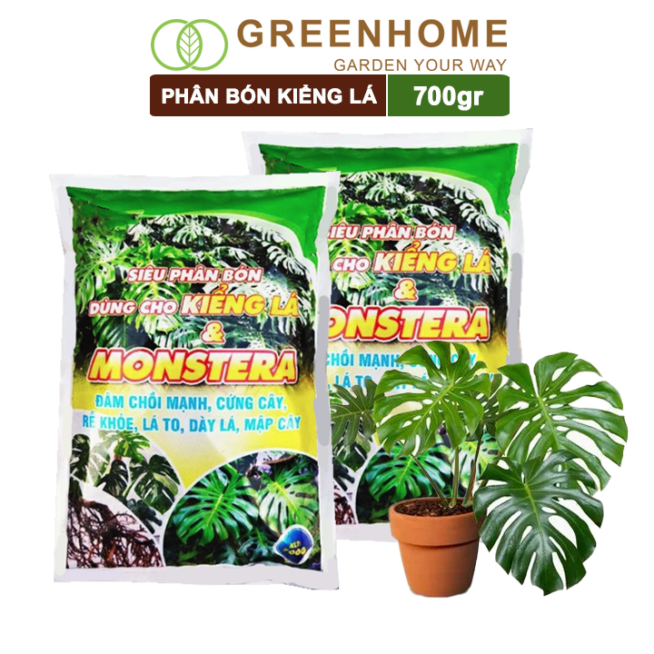 Phân bón kiểng lá Monstera, bao 700gr, đâm chồi mạnh, cứng cây, rễ khoẻ, lá to, dày  Greenhome