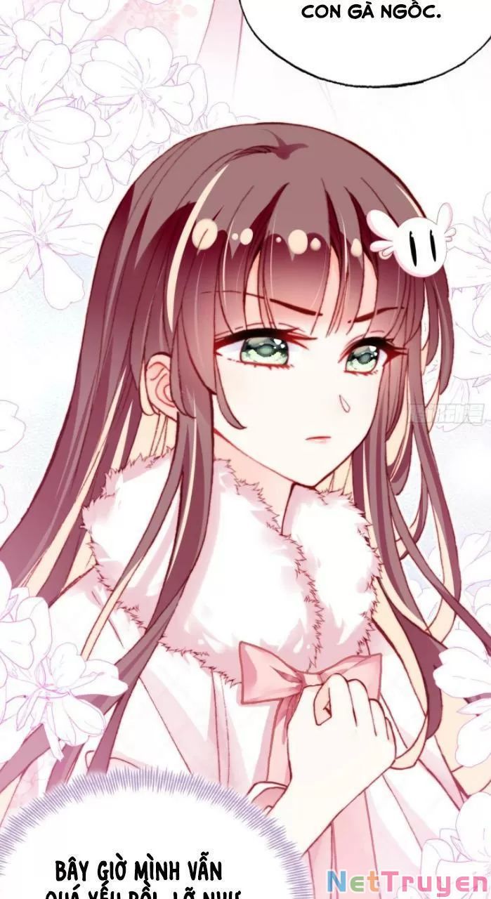 lại bị bệnh chiều chuộng quấn lấy chapter 31 24