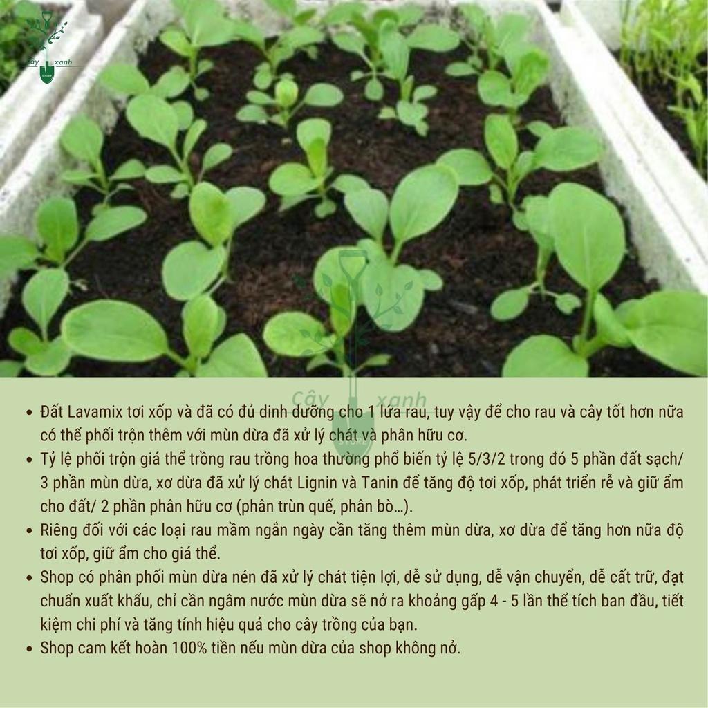 Đất Sạch Đất Hữu Cơ Đa Dụng Lavamix Ươm Hạt Giống, Trồng Rau Và Hoa Kiểng 6.5dm3
