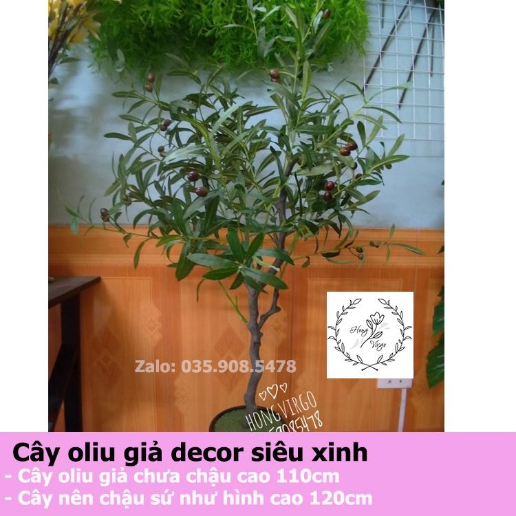 Cây oliu giả decor trang trí siêu xinh kích thước cao 120cm độ rộng tán 60cm