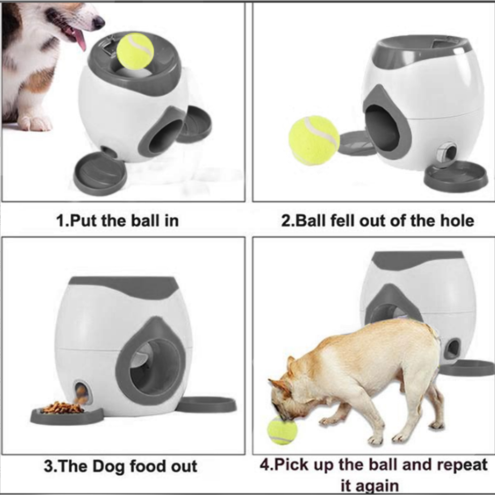 Đồ chơi tự động ném bóng tennis tương tác cho chó, đồ chơi giải trí cho thú cưng
