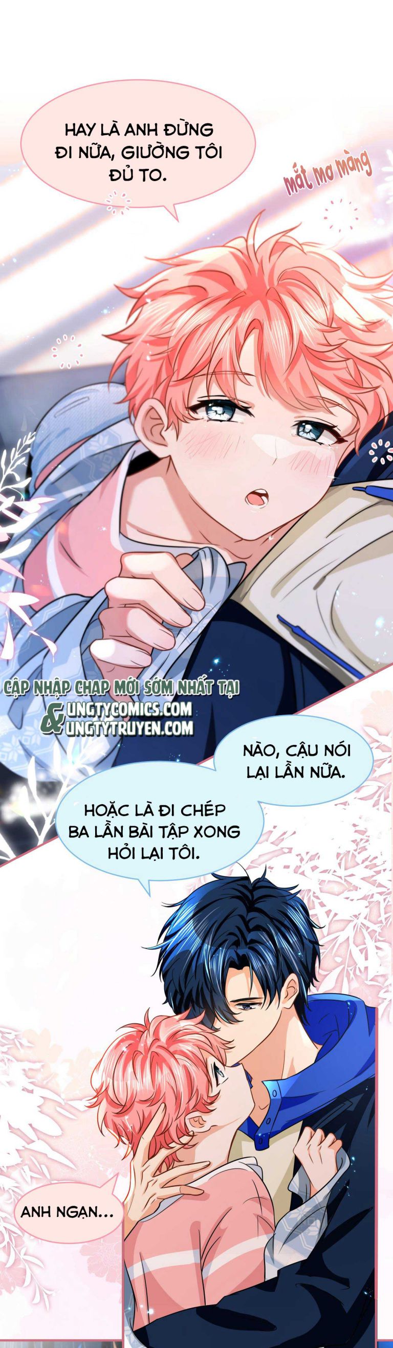 tín tức tố nói chúng ta không thể chapter 49 3