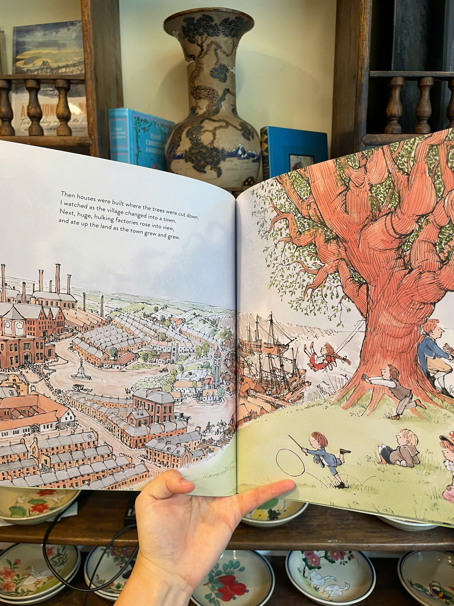 Sách - What Did the Tree See by Charlotte Guillain - Children Picture book in English - Ngoại Văn
