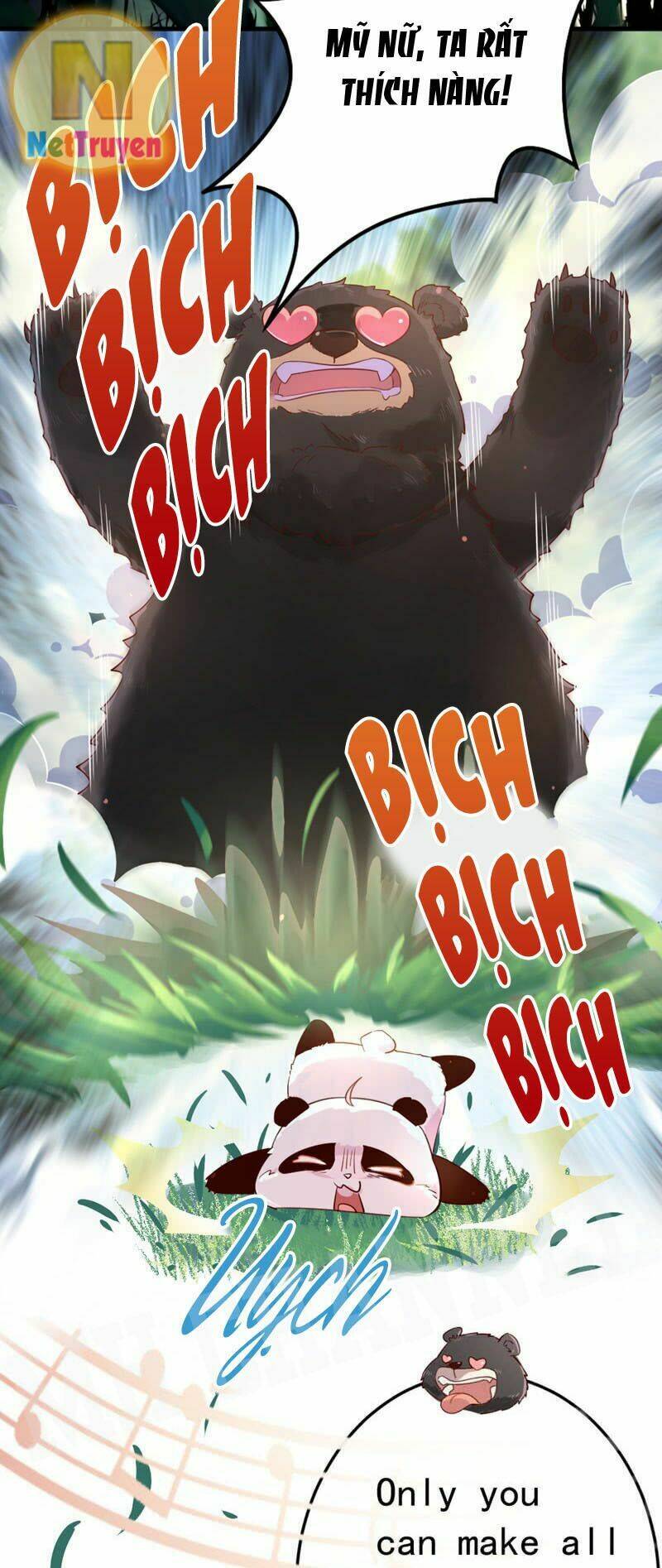 thiên thần gấu trúc muốn được ôm chapter 3 6