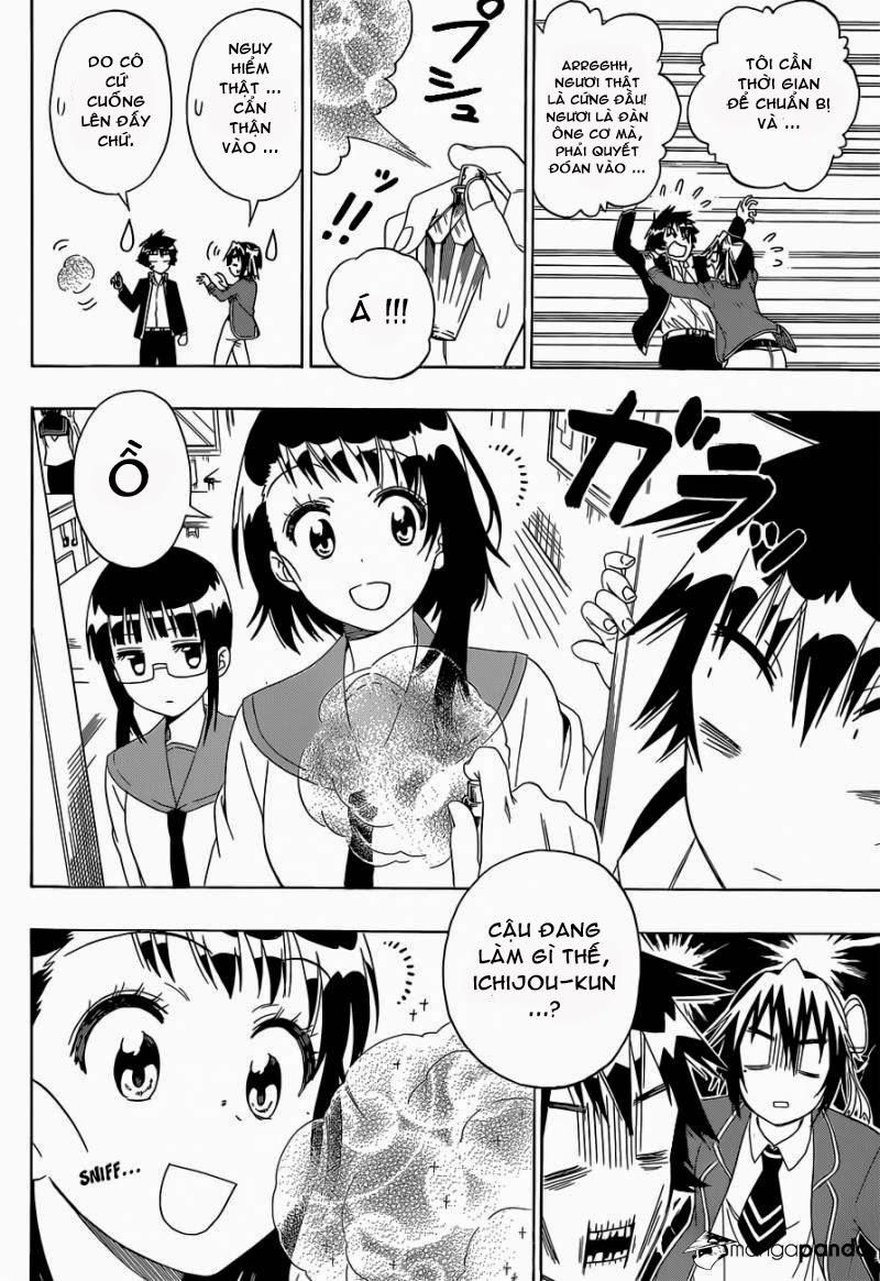 nisekoi - tình yêu giả tạo chapter 140 12