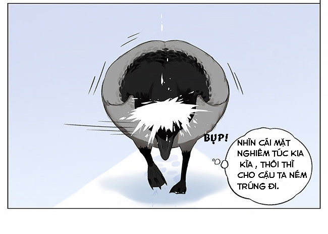 sẻ chiếu mới và nhạn phong sương chapter 6 12