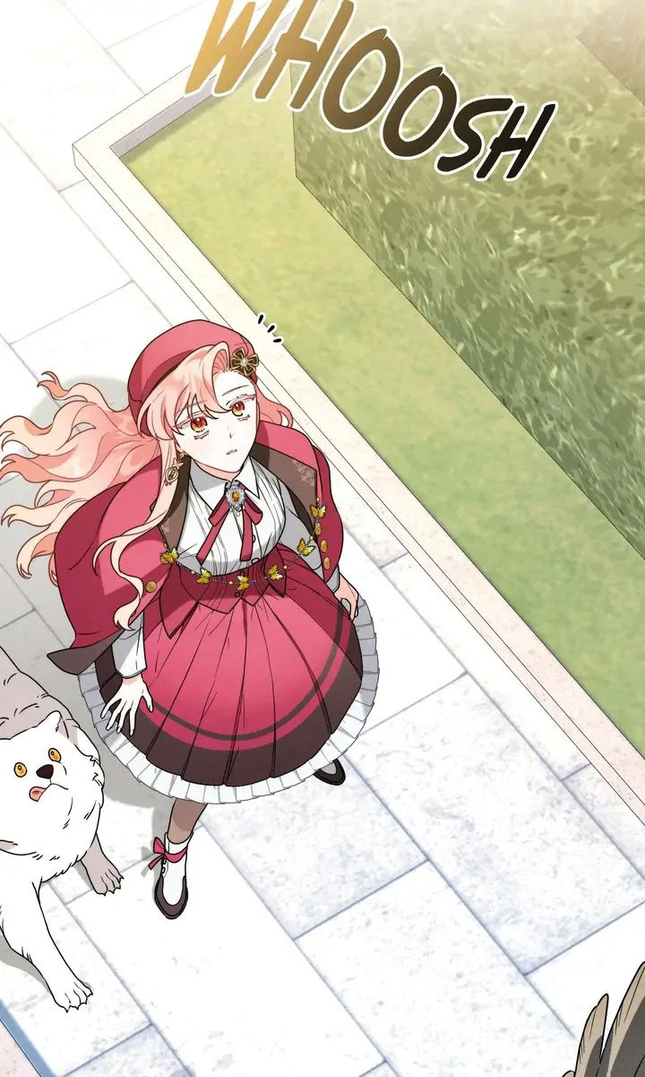 ánh sáng của bình minh chapter 46 56