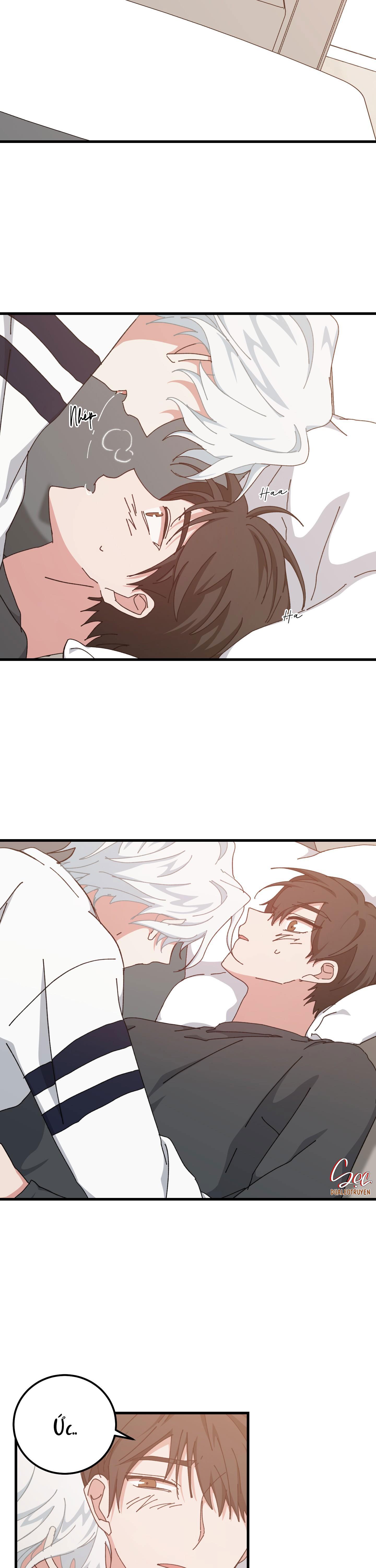 yêu tôi đi, thần hộ mệnh chapter 40 17