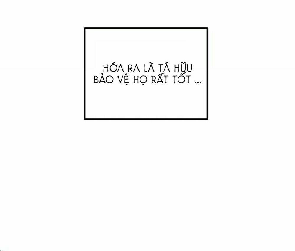 điều giáo quan hệ chapter 15 28