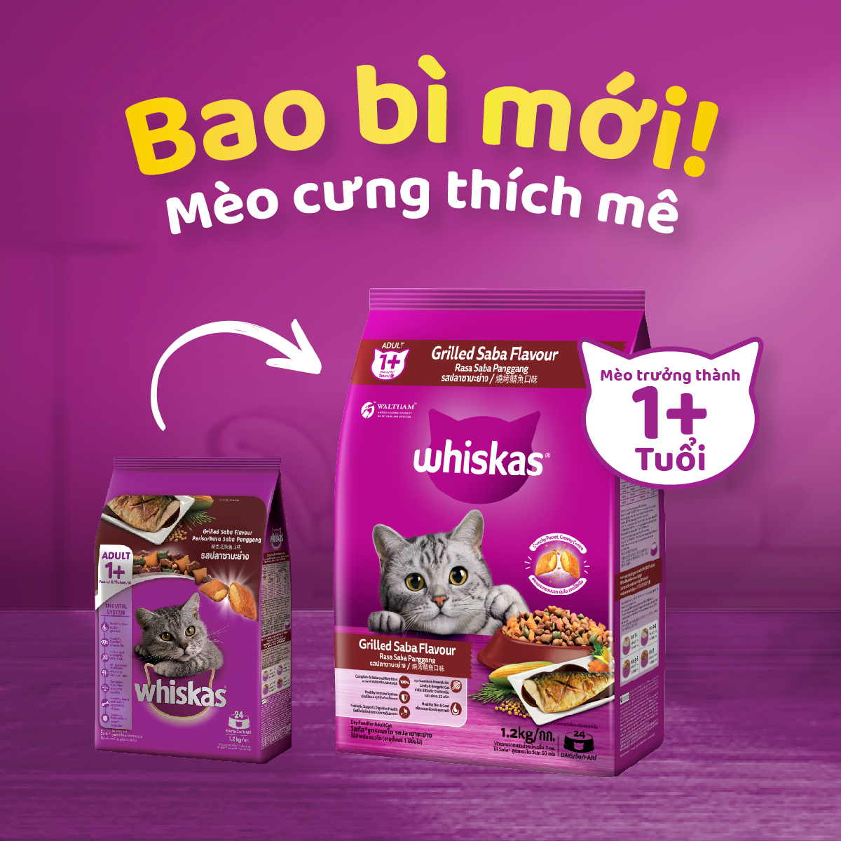Thức Ăn Cho Mèo Whiskas Adult 1+ Years Vị Saba Nướng 1.2kg/Túi