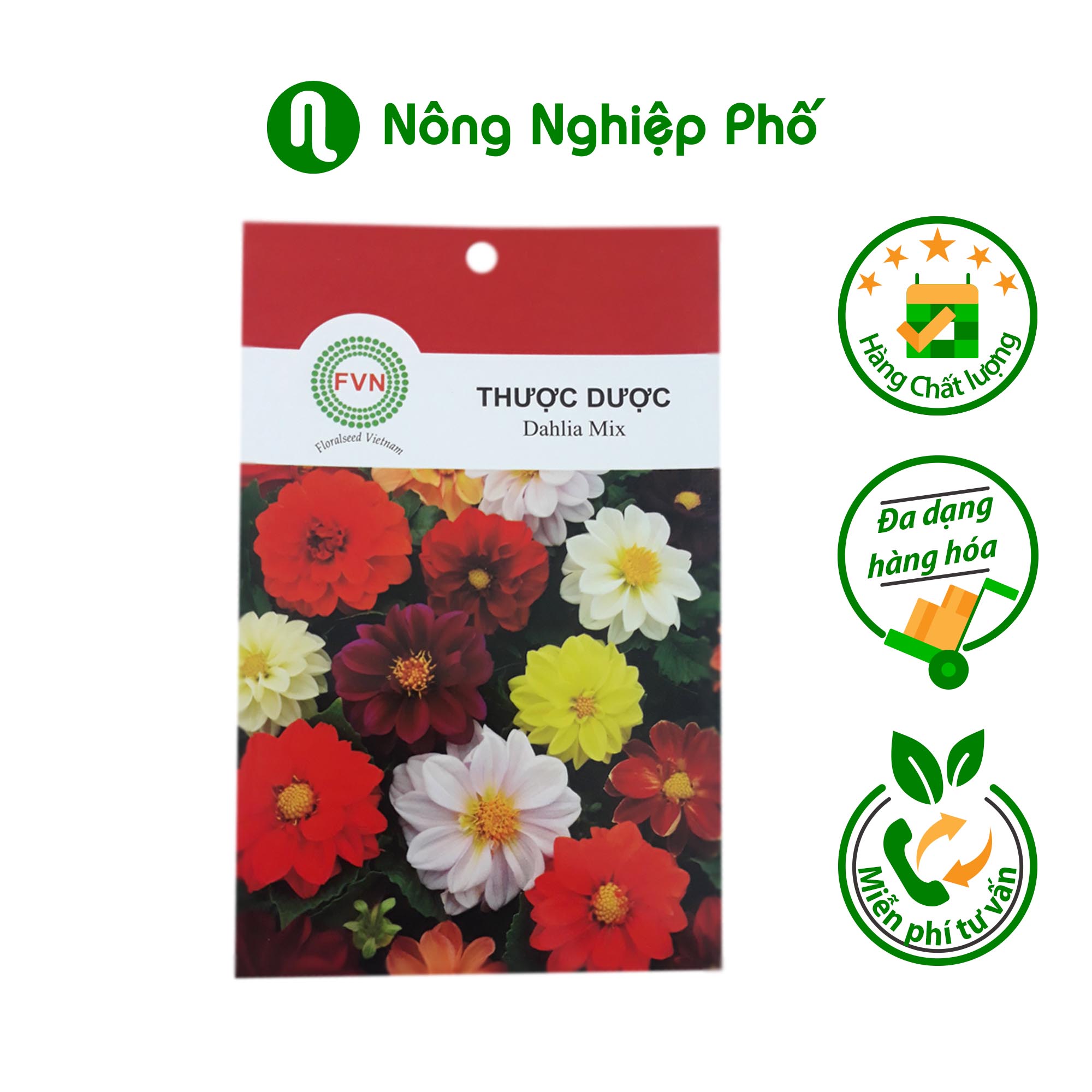 Hạt giống hoa Thược Dược FVN- Gói 15 hạt