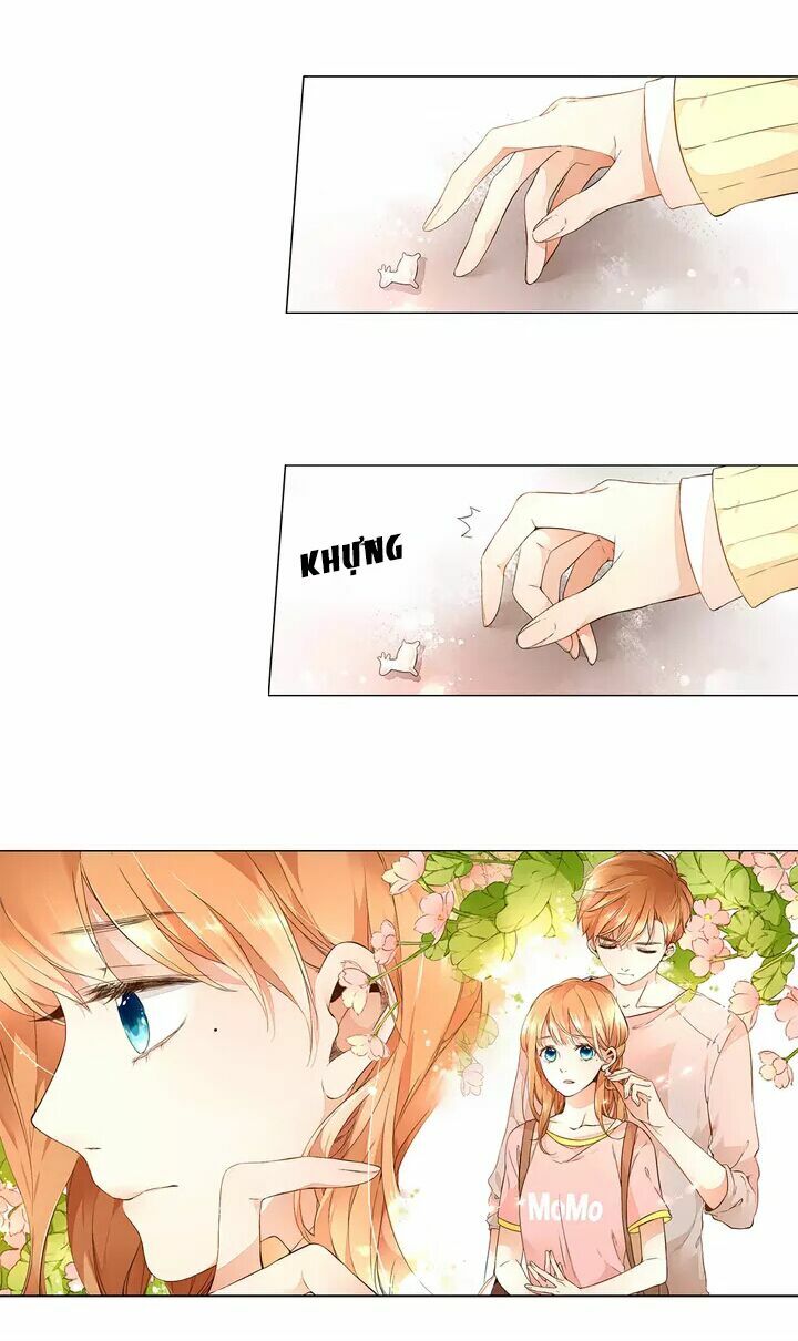 Tình yêu là màu hoa anh thảo chapter 15.2 2