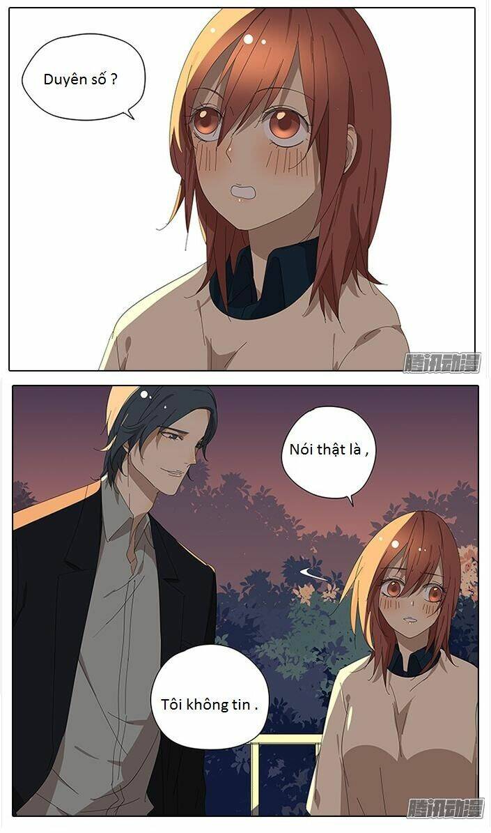 tương thân chung kết giả chapter 41 8