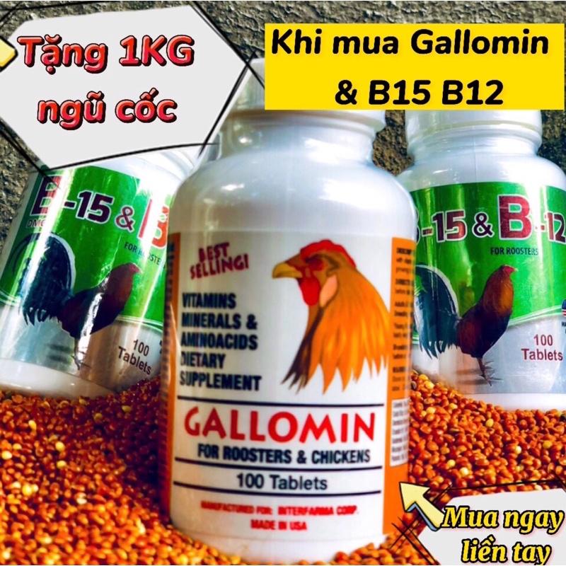 Gallomin thuốc nuôi cho gà đá tăng bo, dinh dưỡng cho chiến kê