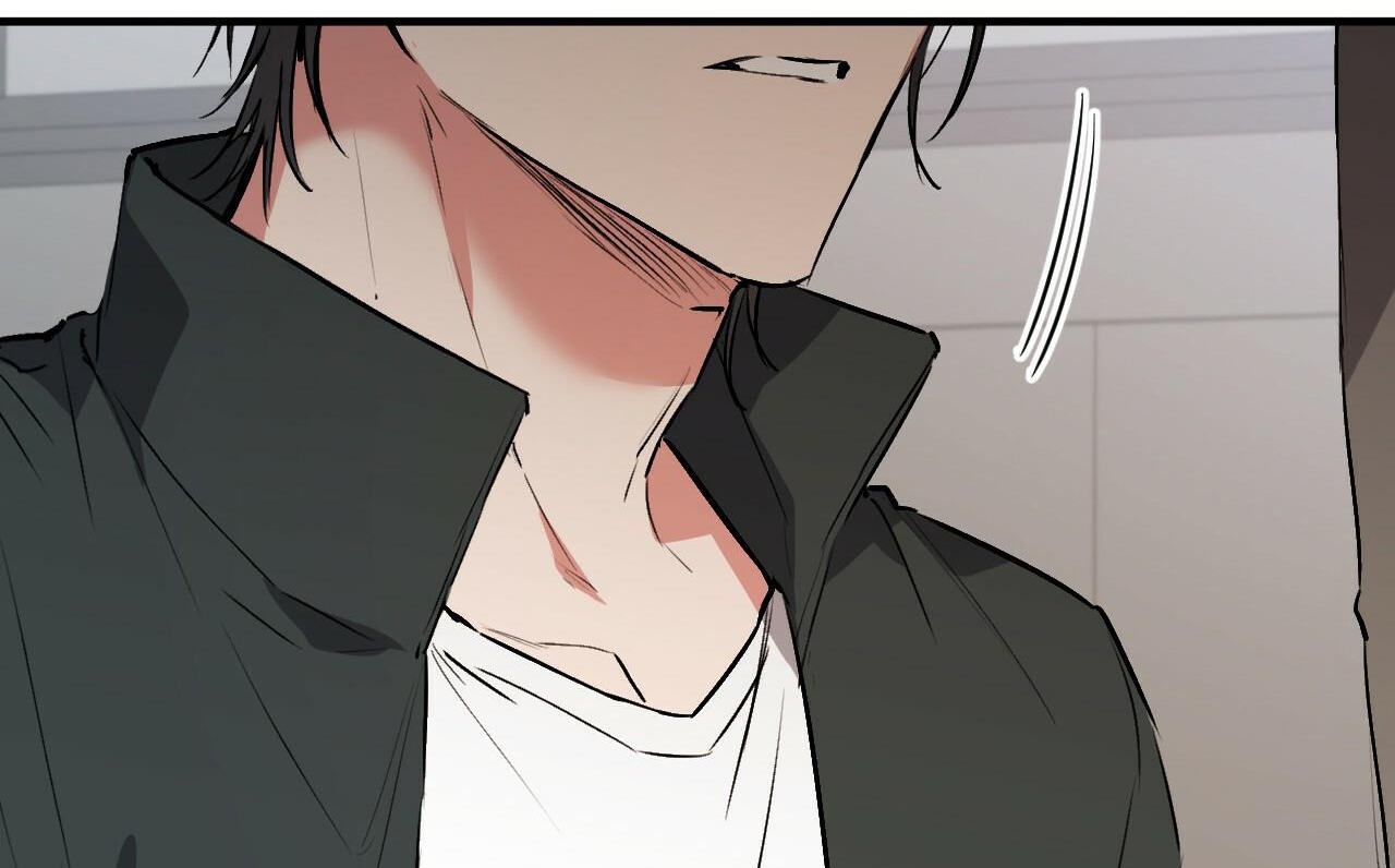 đàn thỏ của habibi chapter 47 154