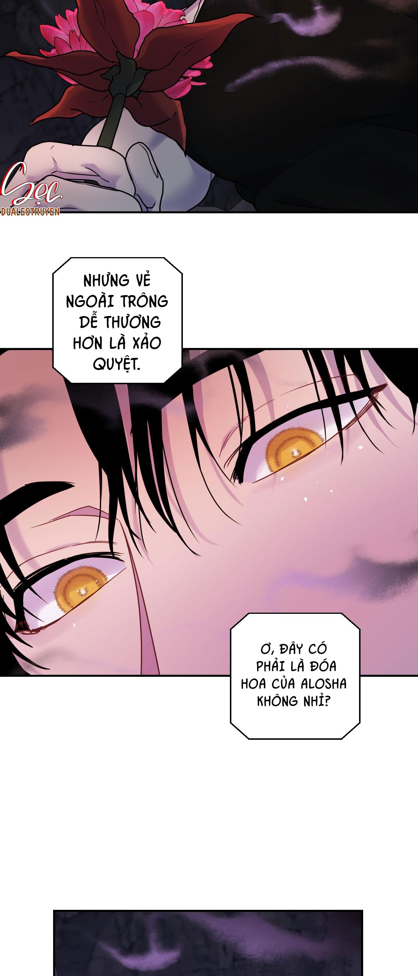 đóa hoa của alosha chapter 15 27