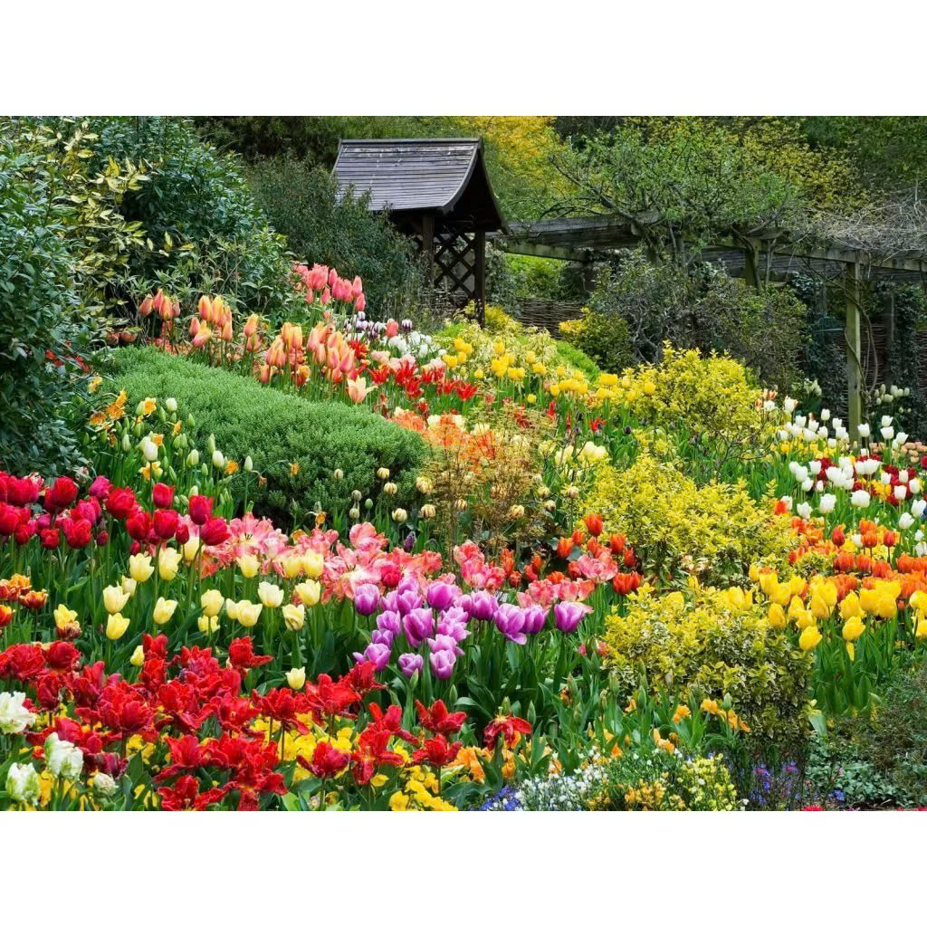 Kích rễ cực mạnh ngăn ngừa đen rễ, thối rễ, vàng lá do nghẹt rễ