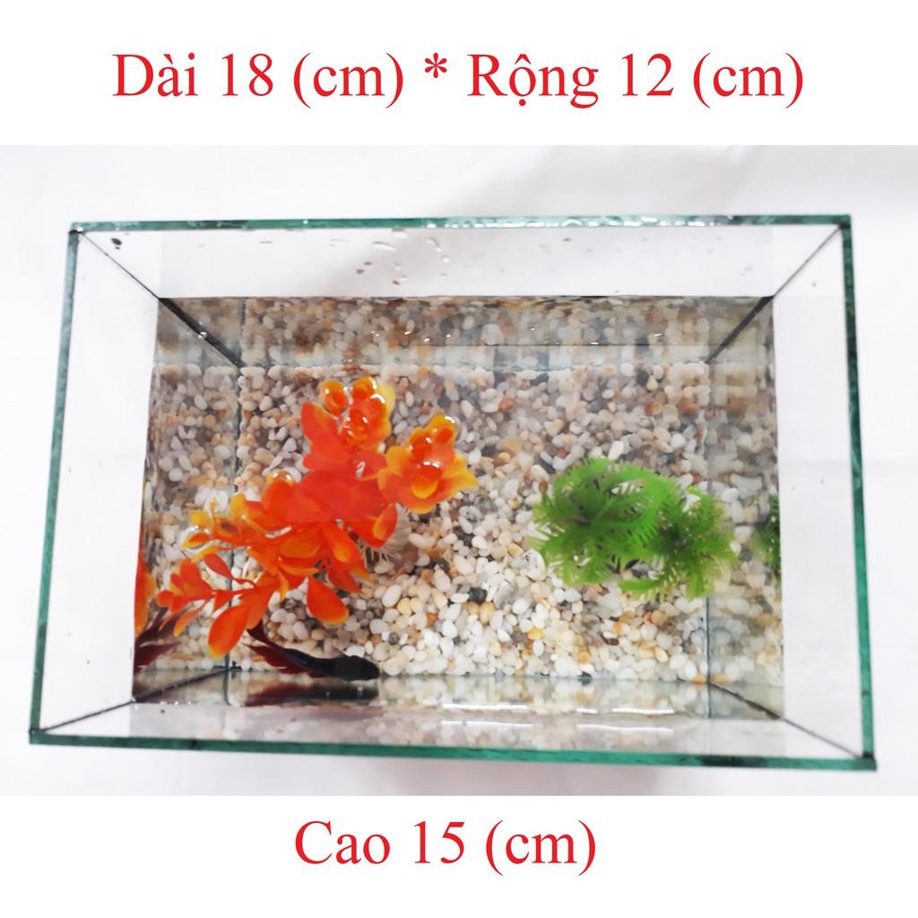 Hồ Cá Vuông Để Bàn HV 18x12x15 - Bể Cá Mini Để Bàn Thủy Tinh