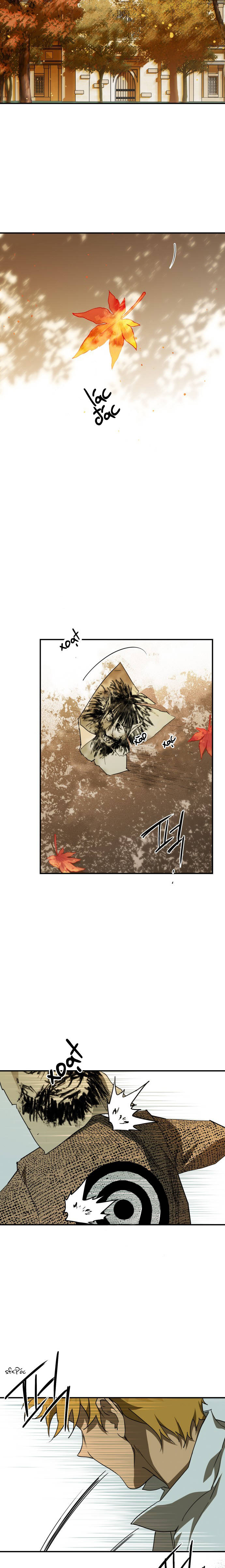 bị che khuất bởi hoàng hôn chapter 60 11