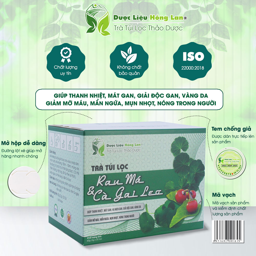 Trà Rau Má & Cà Gai Leo túi lọc hộp 60g Cty Dược Liệu Hồng Lan -