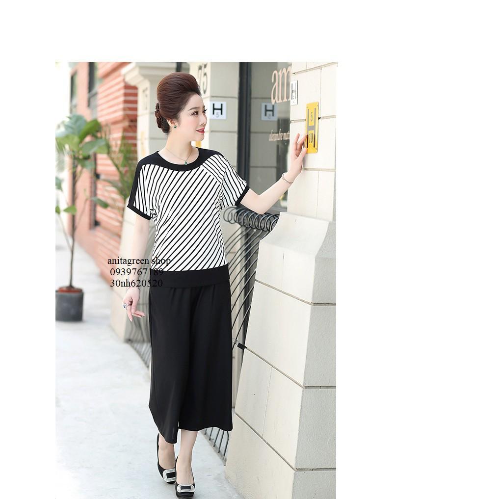 Nh620520-ÁO KIỂU KẺ SỌC TAY CÁNH DƠI