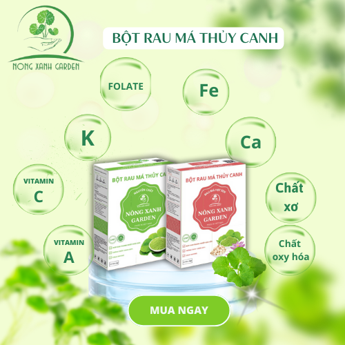 Nông Xanh Garden Combo 2 Hộp Bột Rau Má Thủy Canh Nguyên Chất + Hạt Sen Hộp 15 gói hòa tan uống liền, mát gan, đẹp da