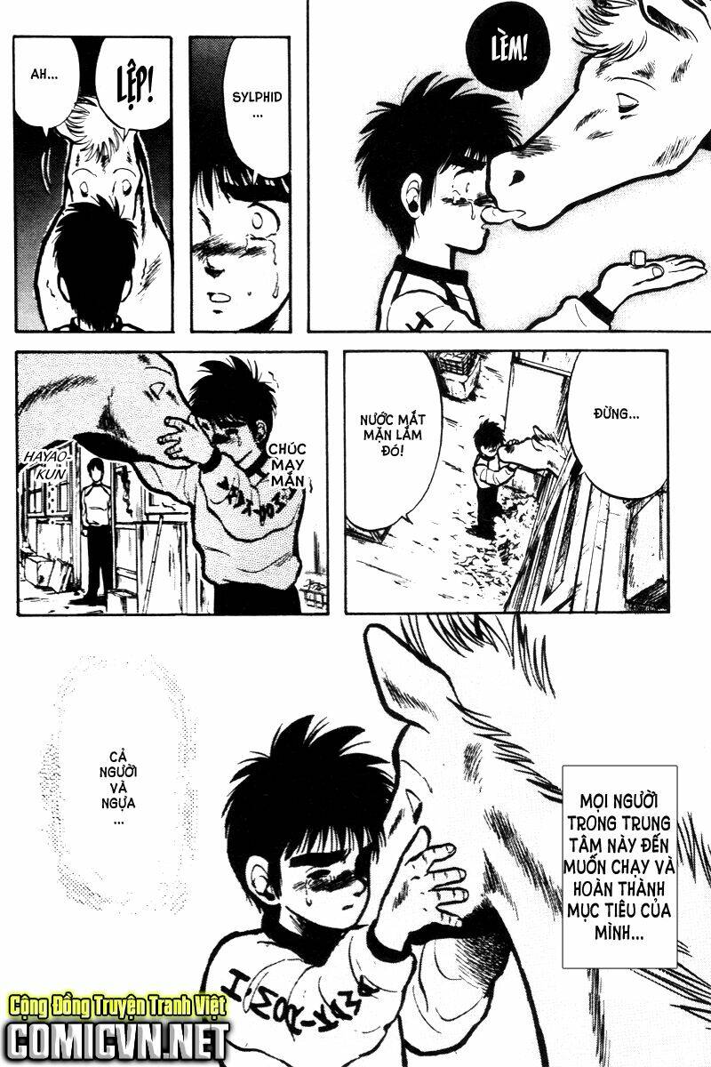 kaze no sylphid - phong mã silphid chapter 12 22