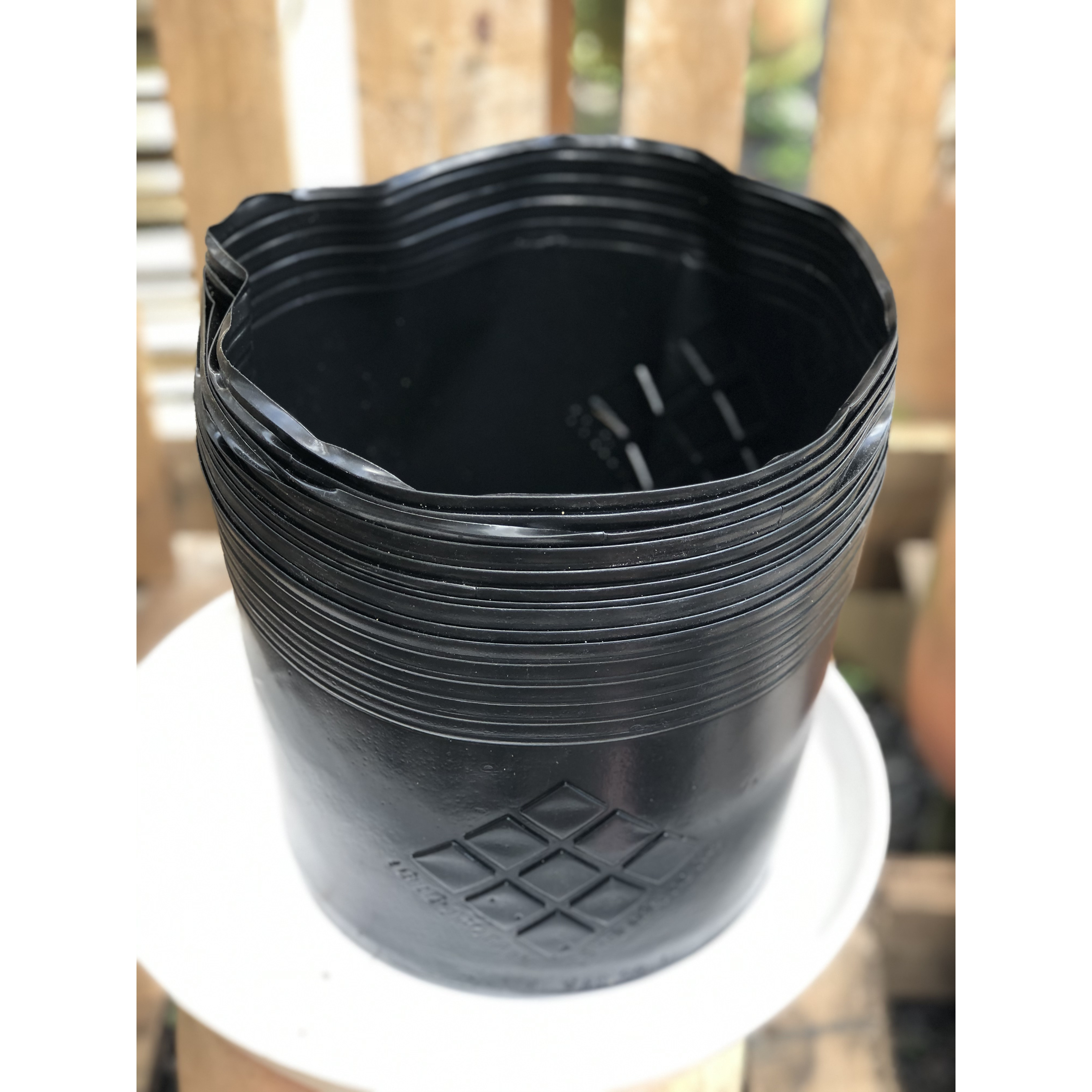 Bộ 10 chậu nhựa trồng cây lâu năm DS2 kích thước fi 230 x 170 mm