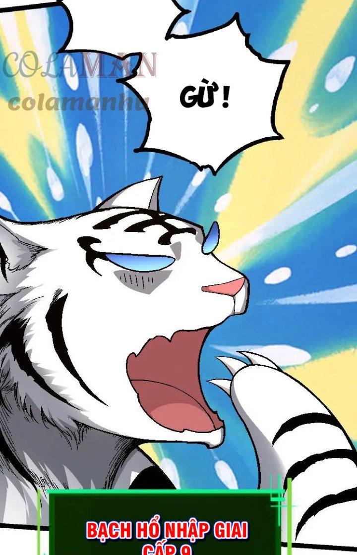 từ cây cổ thụ bắt đầu tiến hóa chapter 34 44