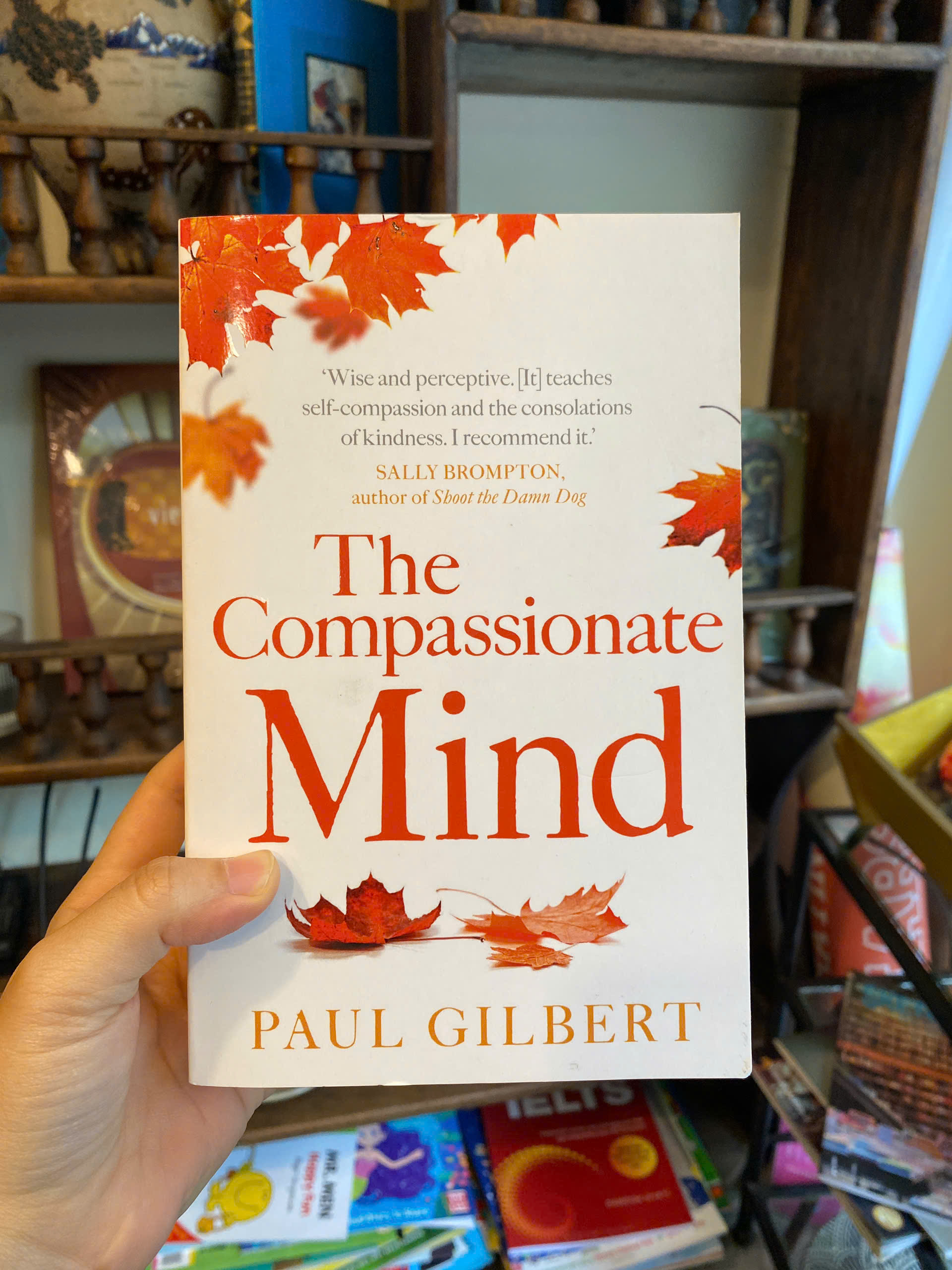 Sách - 10% Happier (New York Times Bestseller) by Dan Harris | Nonfiction Self Help - English Book