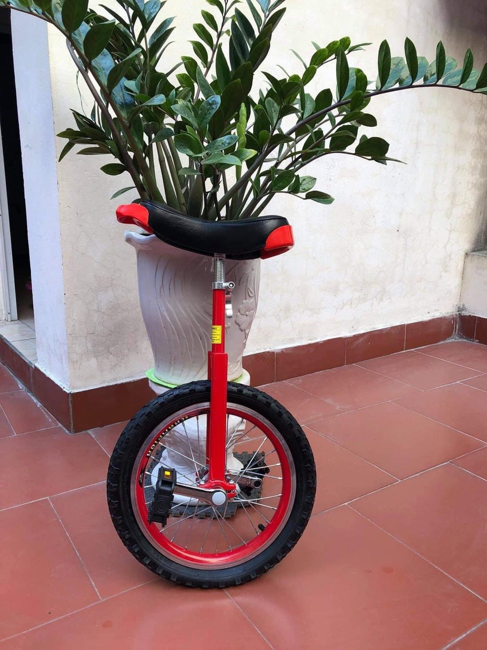 Xe đạp 1 bánh - Unicycle