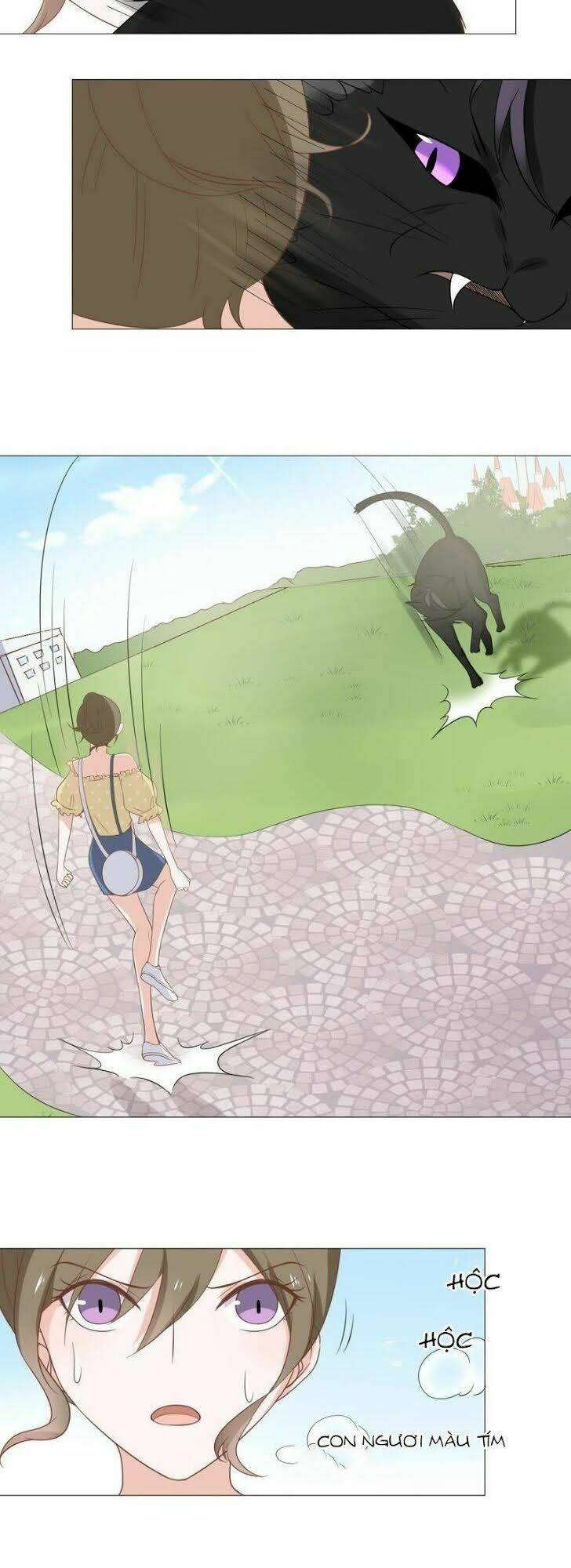 thập nhị hắc miêu chapter 10 22