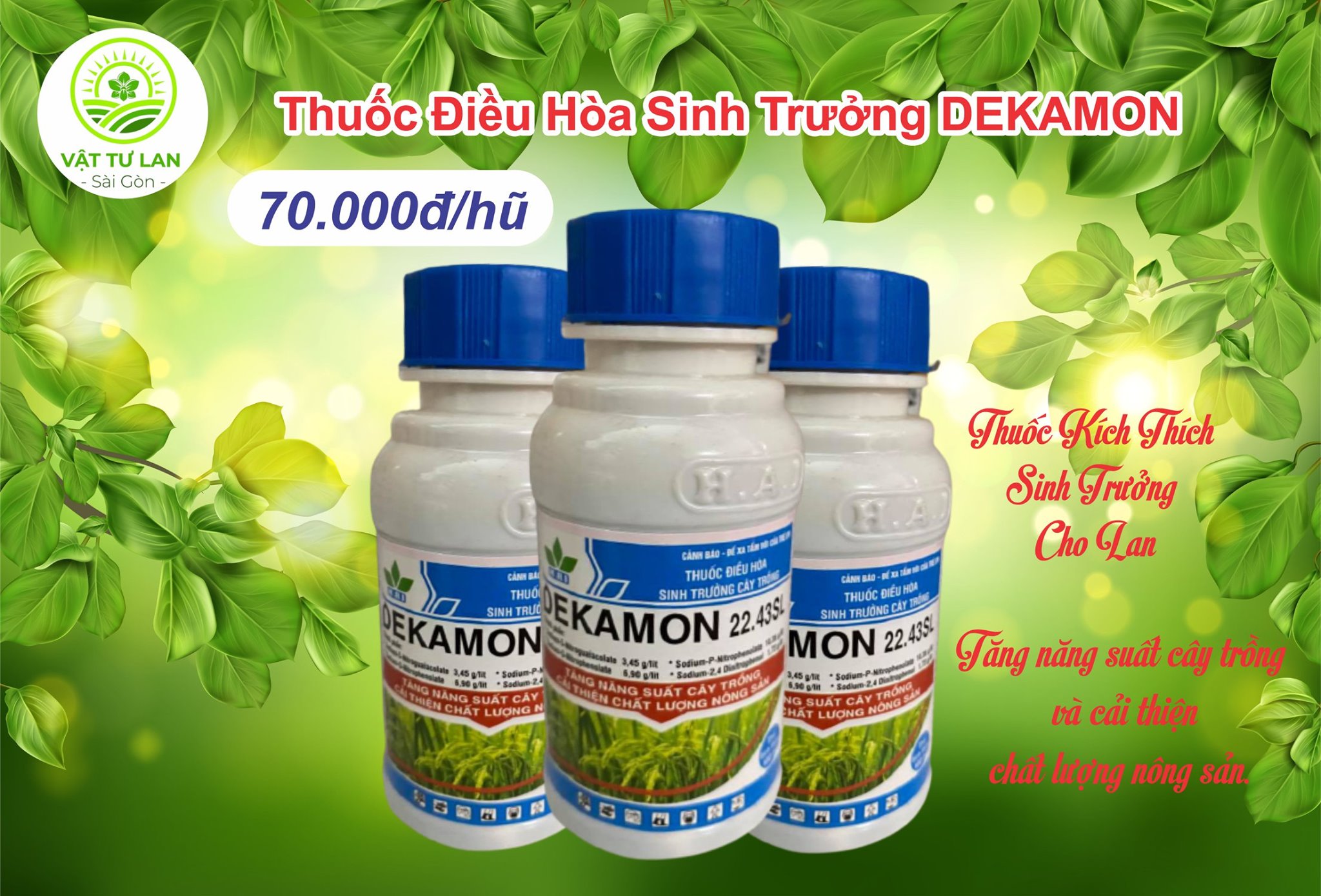 DEKAMON-Điều hòa sinh trưởng cho cây chai 100ml