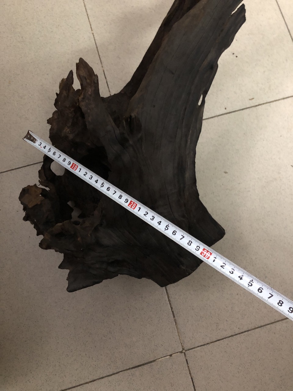 Gỗ lũa lội ghép lan hàng rừng dài 55 cao 30 rộng 30 cm
