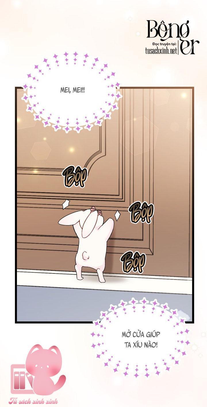quan hệ cộng sinh giữa báo đen và thỏ trắng chapter 101 17
