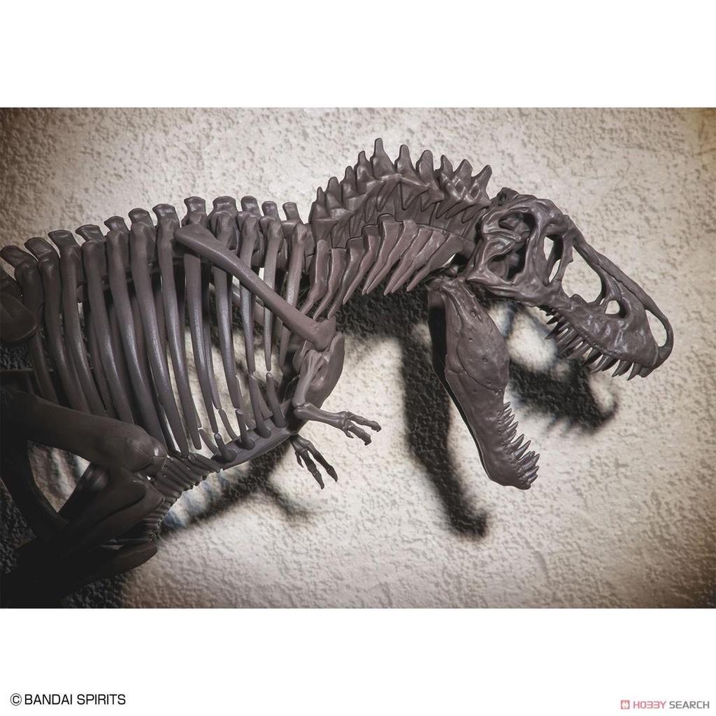 Bộ lắp ráp 1/32 Imaginary Skeleton Tyrannosaurus Khủng long bạo chúa