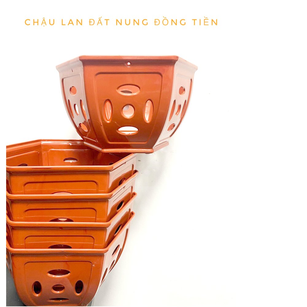 5 Chậu nhựa Đồng Tiền trồng lan cao cấp siêu bền đường kính 22x12.5x14cm- 77590