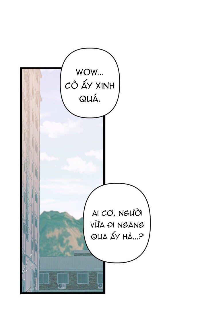 survive romance chapter 1 6