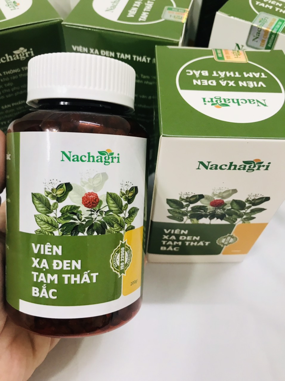 Xạ Đen Tam Thất Bắc Nachagri